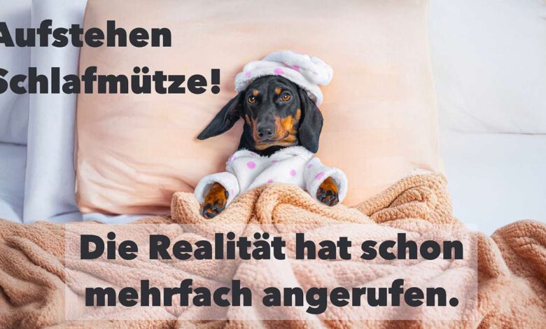 witzig frech guten morgen lustig