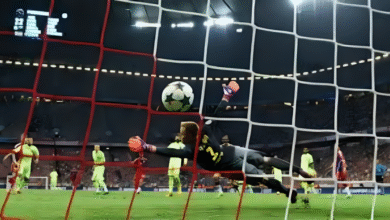 barcawelt