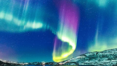 Polarlichter Norwegen