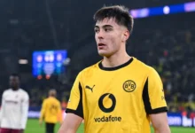 BVB Transfer